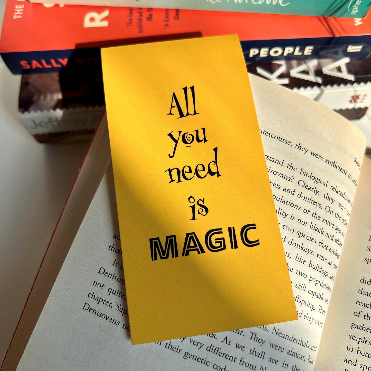 Harry Potter - Magnetic Bookmark